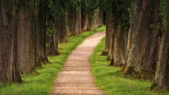 Aventures Ado : 7 Activités à Essayer en Plein Air