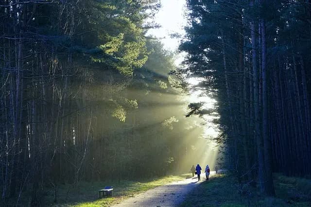 Les Meilleures Aventures à Explorer pour les Ados