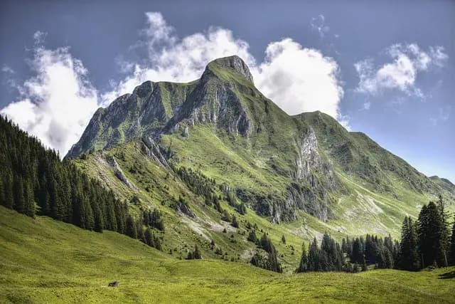 10 Activités Aventure à Réaliser en Été avec Votre Ado