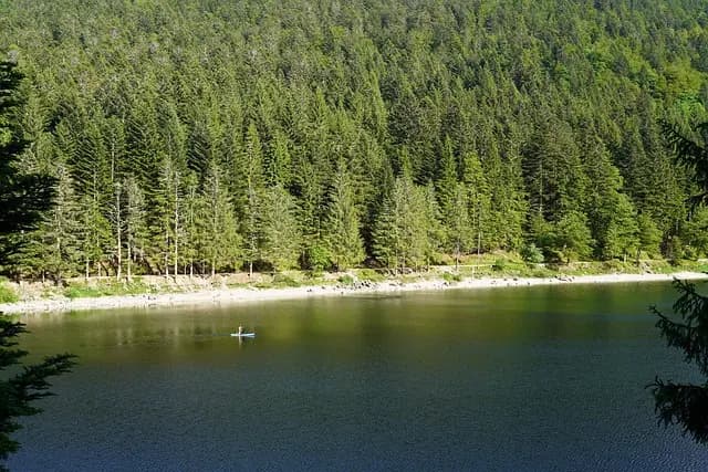 Top 10 des Activités Aventure pour Ado au Printemps