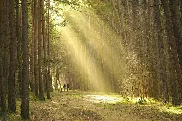 Les Meilleures Activités d'Aventure à Partager avec Votre Ado