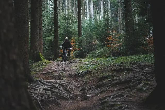 Les Meilleures Aventures en Plein Air pour les Adolescents
